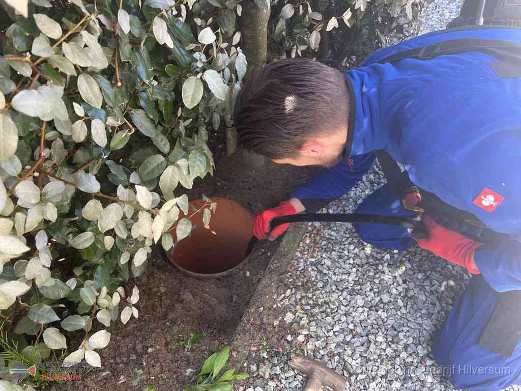 Rioolvliegjes Hilversum Rioolvliegjes Hilversum